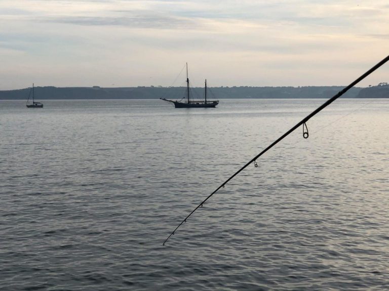 Mackerel Fishing Guide Spinning, Feathering & Float Fishing