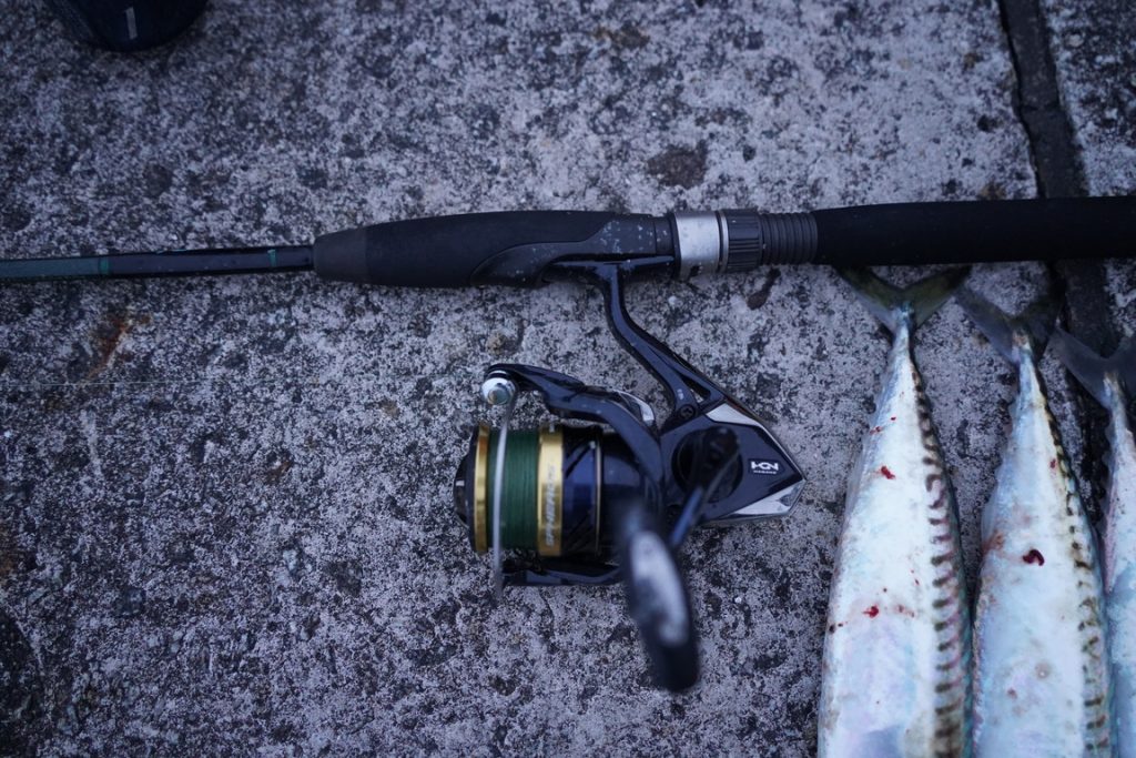 sea fishing UK for mackerel