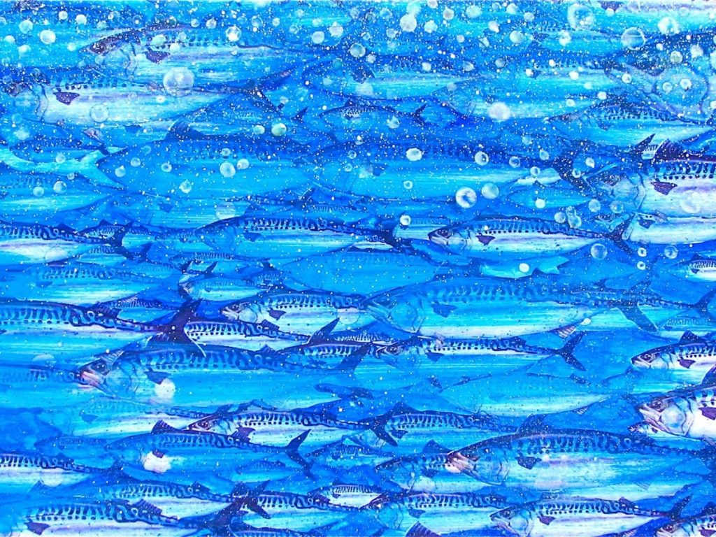fishing mevagissey