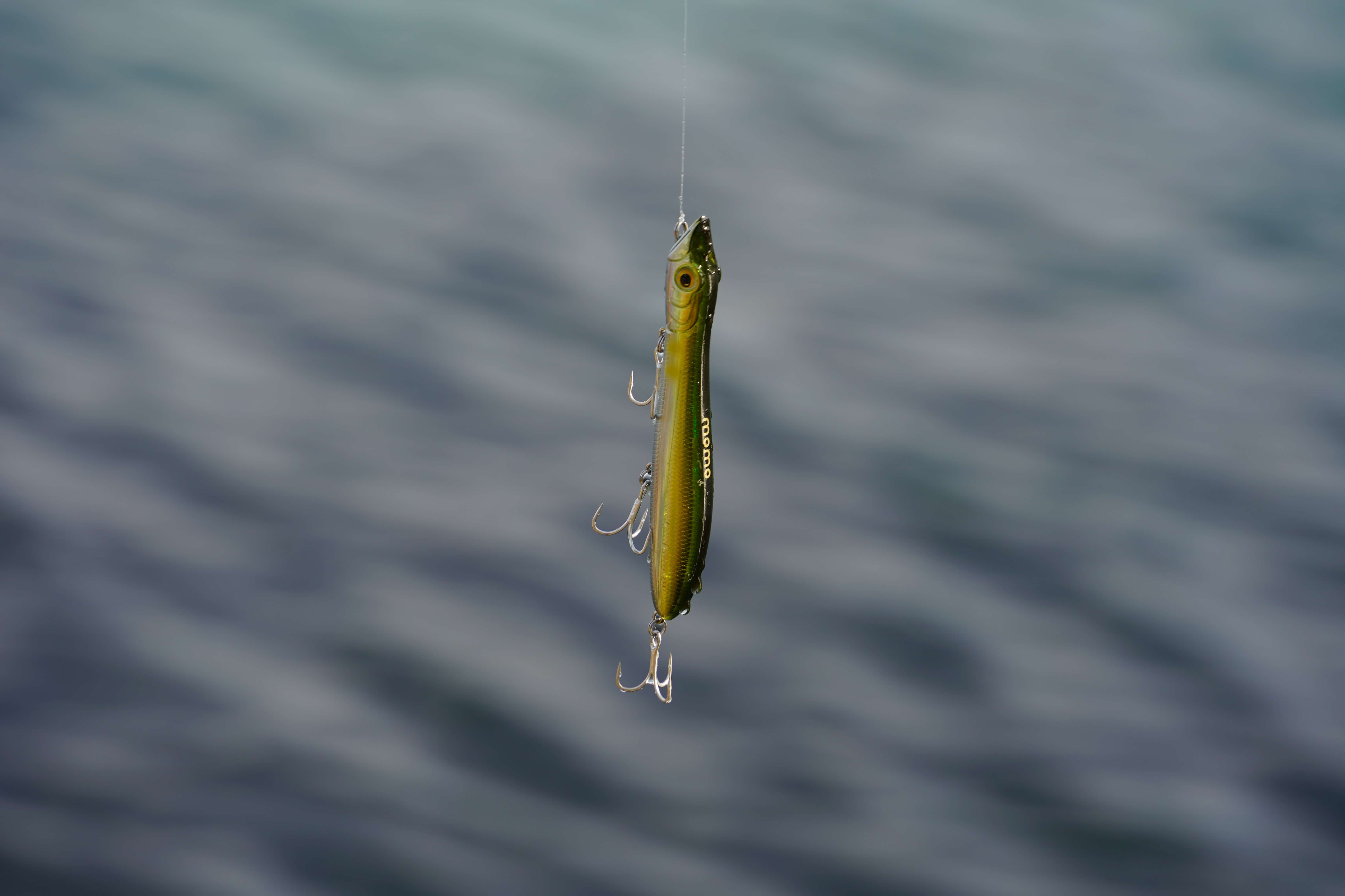 a popper for bass fishing