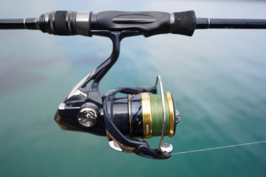 perch reel