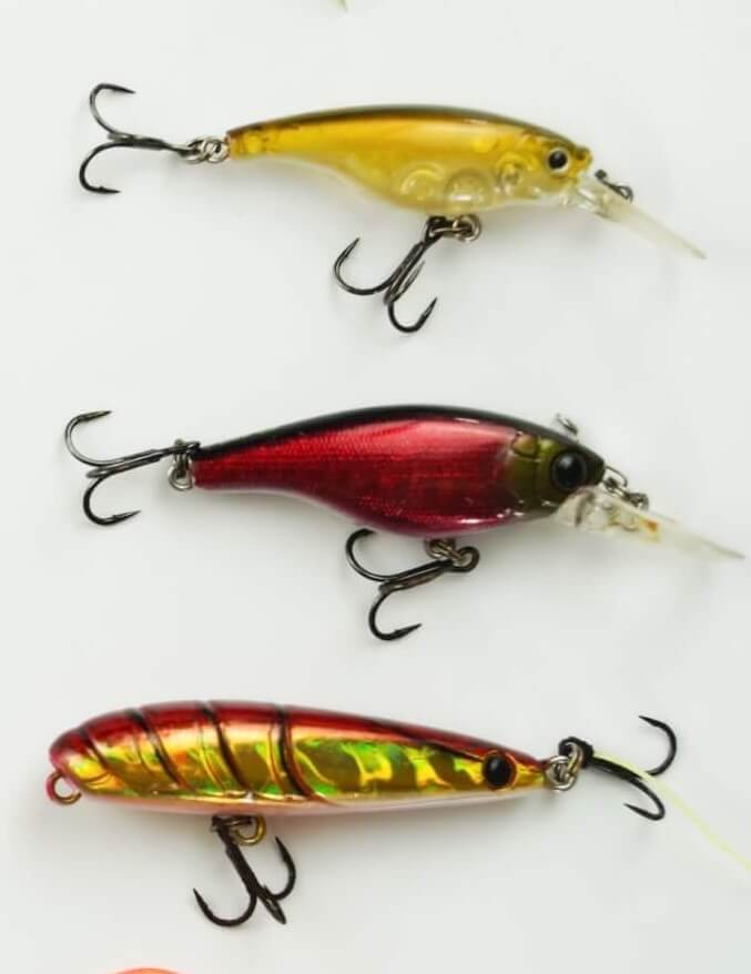 What Is A Trout’s Favorite Lure? FishHuntGear