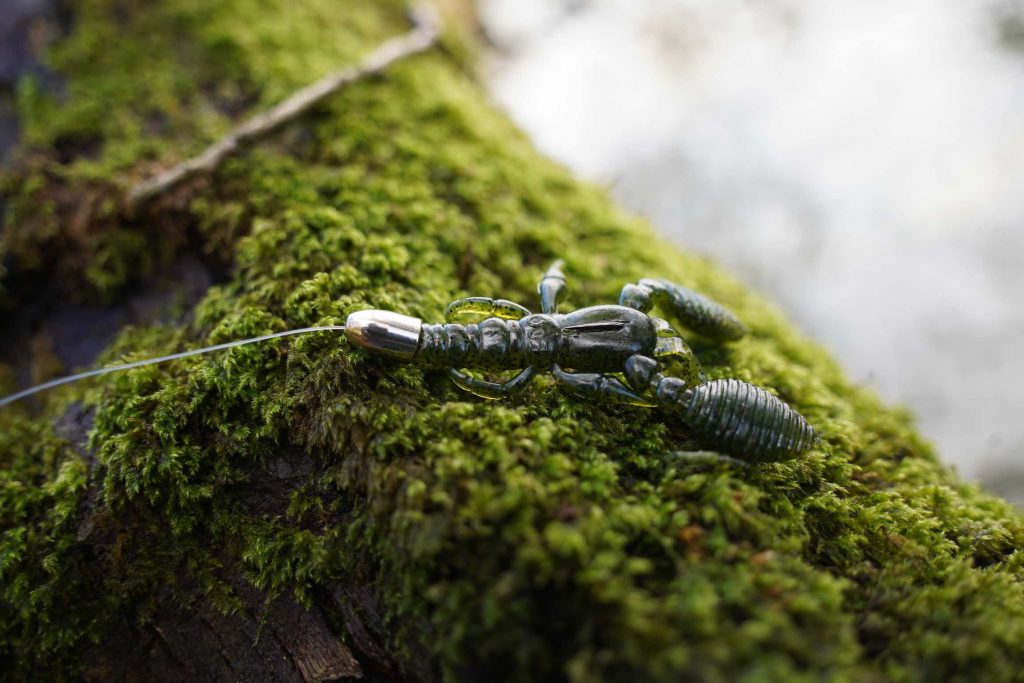 creature bait on Texas rig 