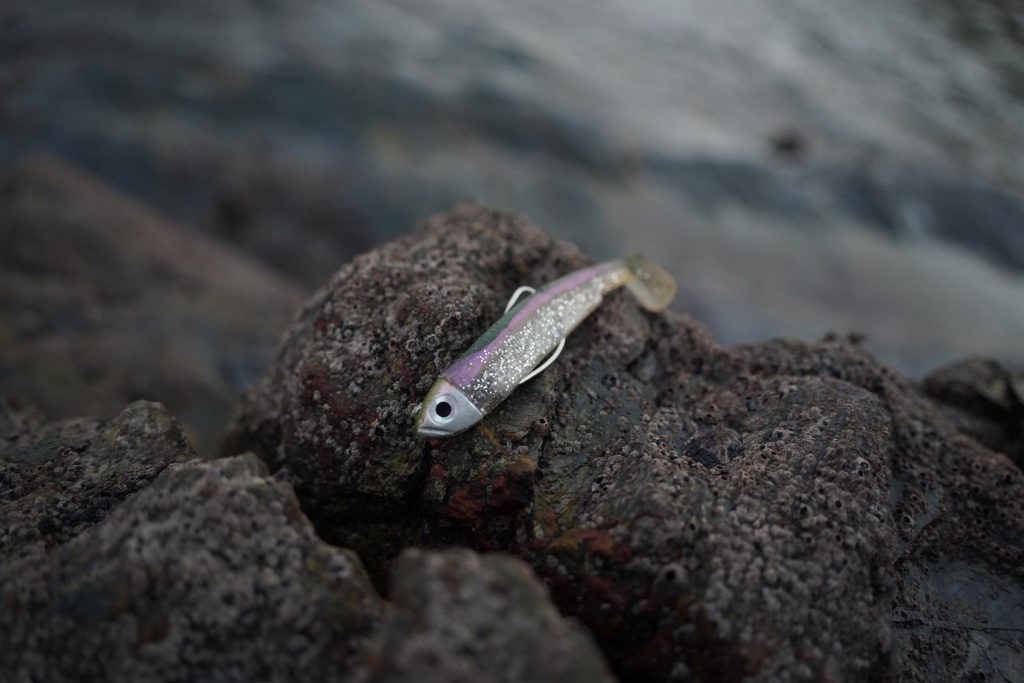 fiiish minnow bass lure