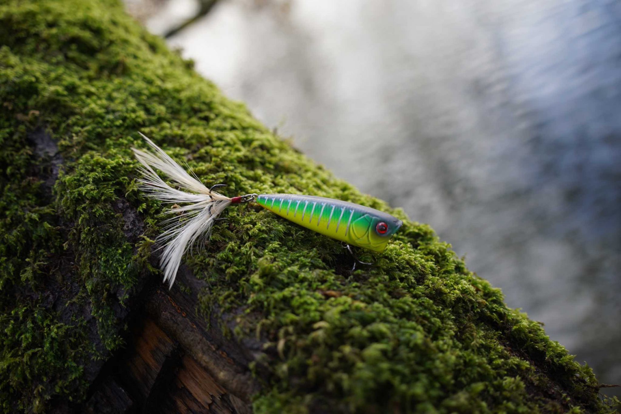 These are the best perch lures in the UK | + How to rig each