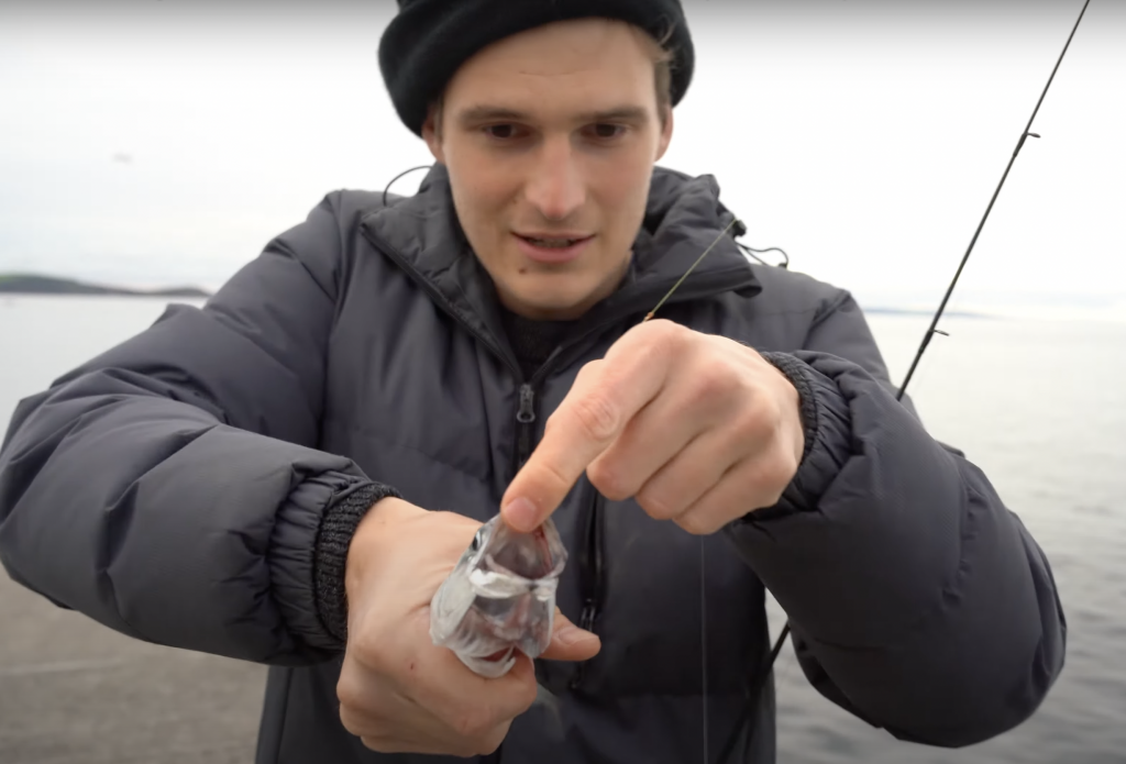 how to kill mackerel