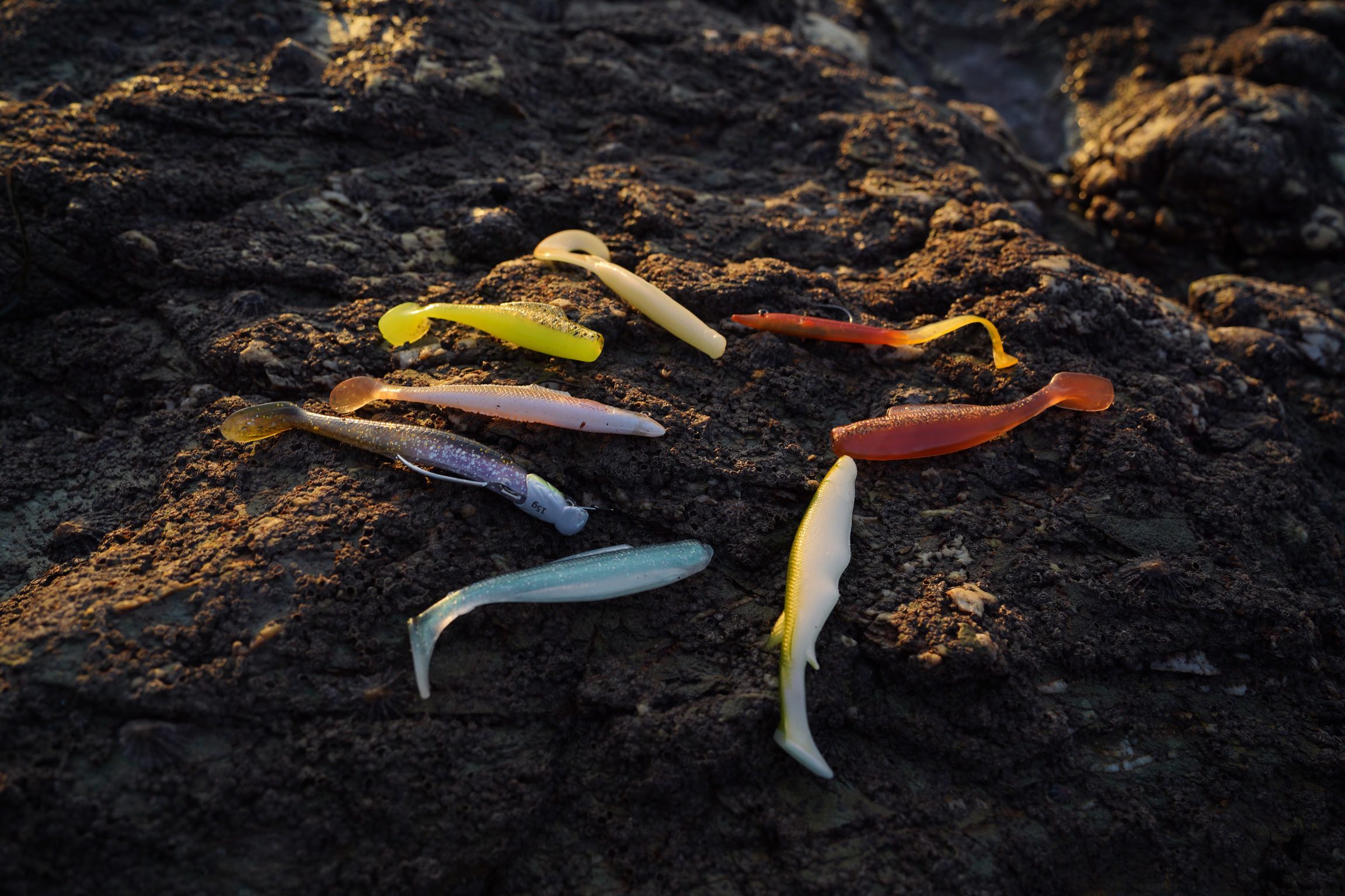 paddle tail soft plastics for bass fishing