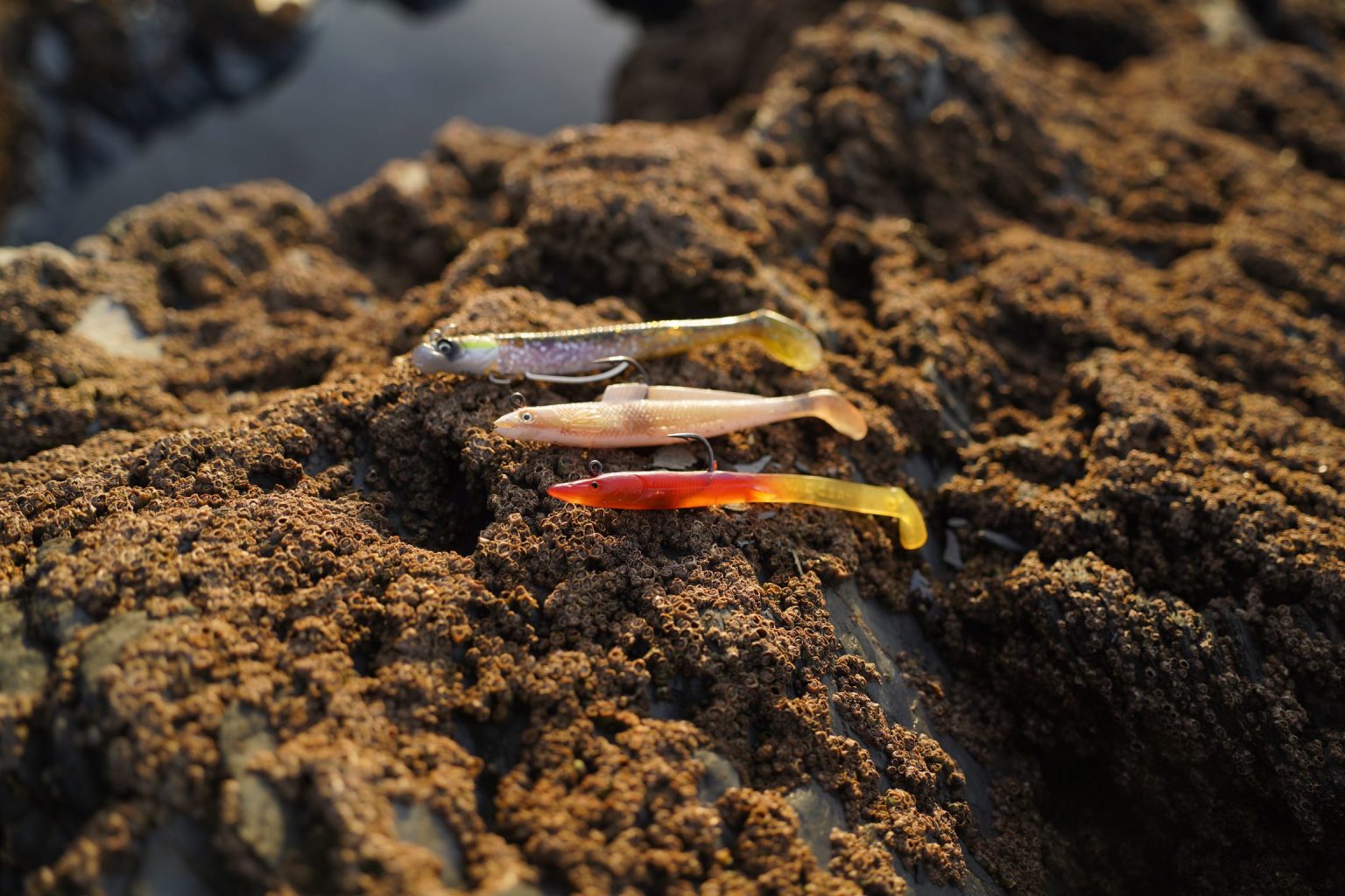 The Only 3 Bass Lures You Need Best Bass Lures UK