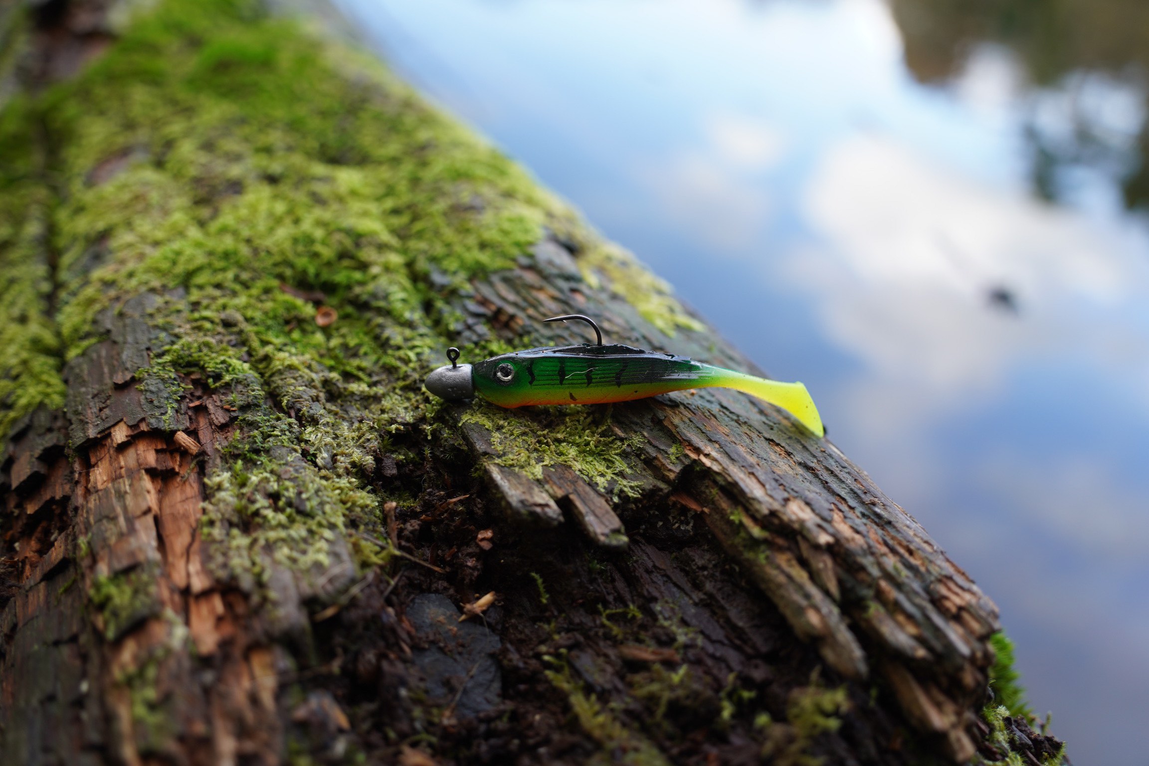 level swim head - a type of jig head
