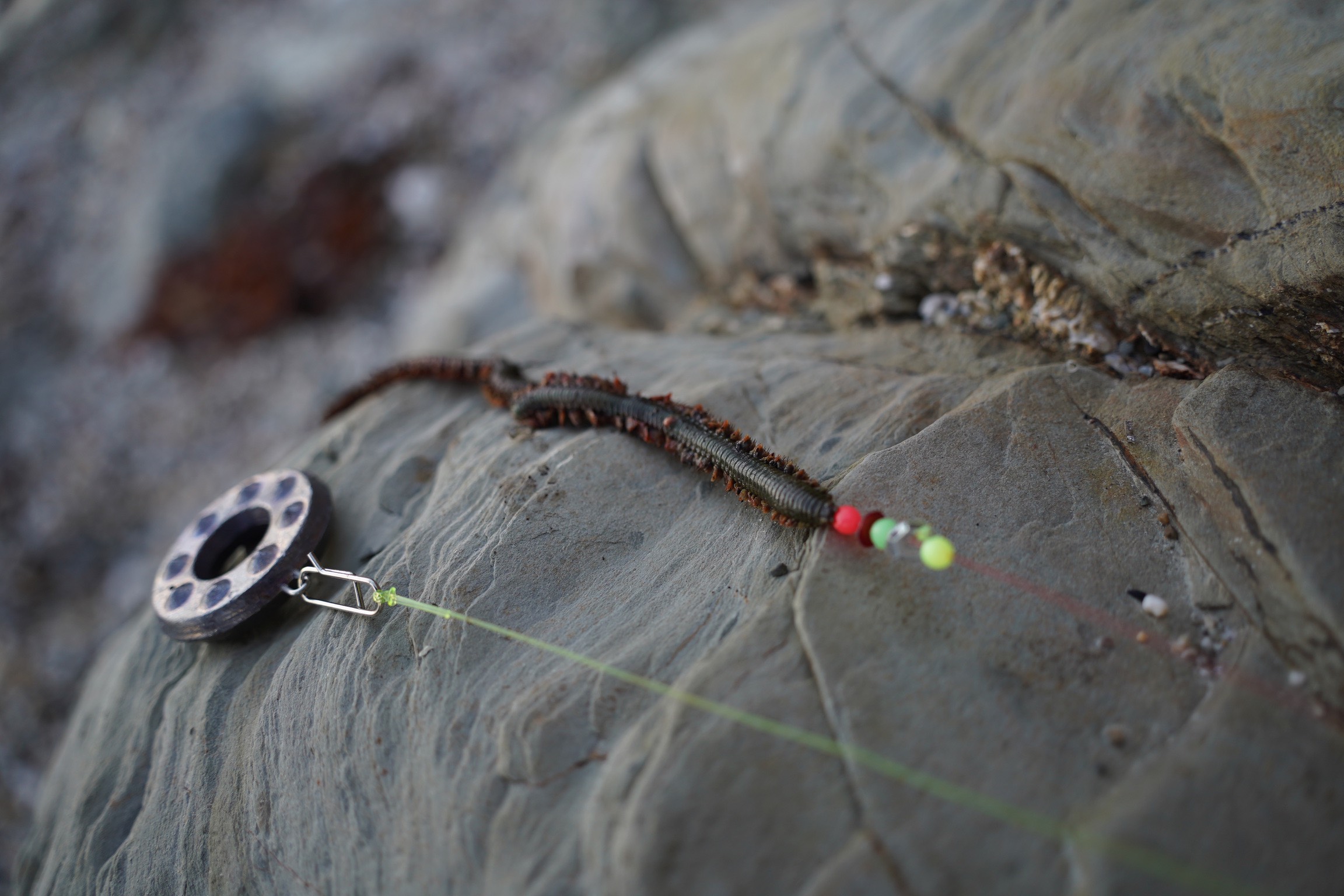 sea fishing clock lead