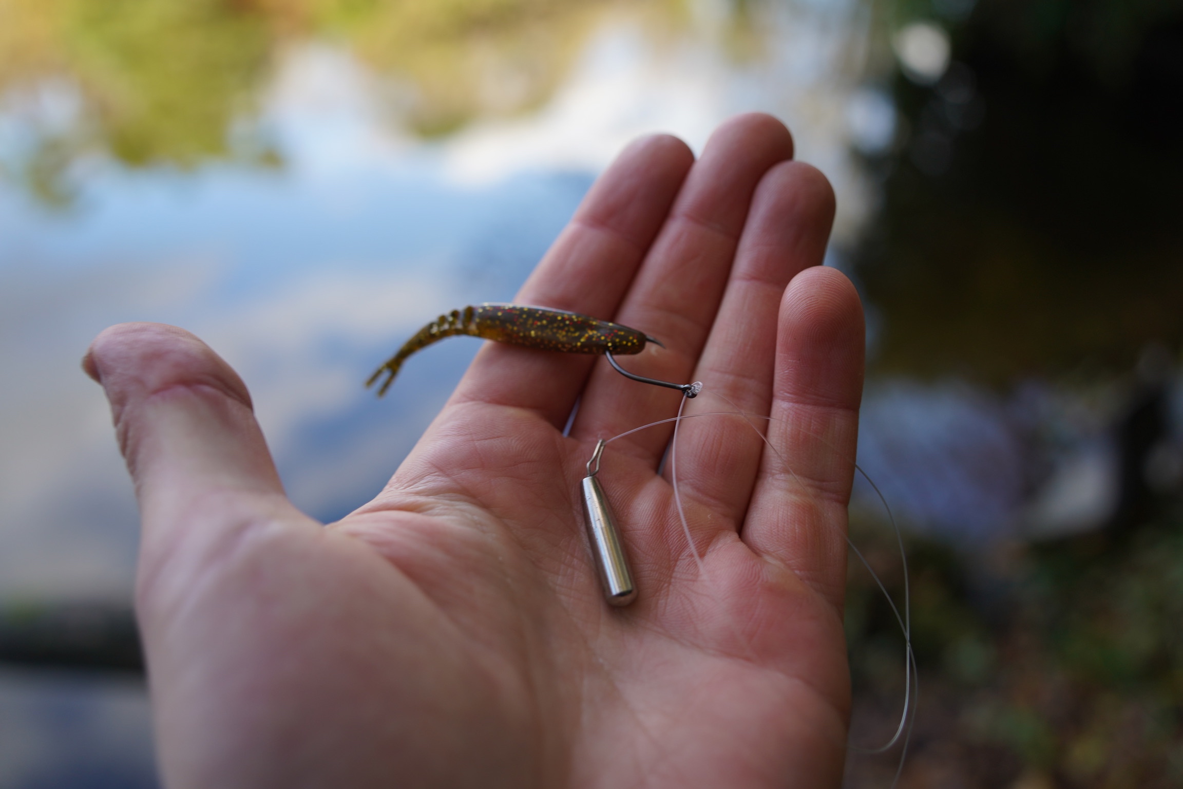 Drop shot rig with a paddle tail