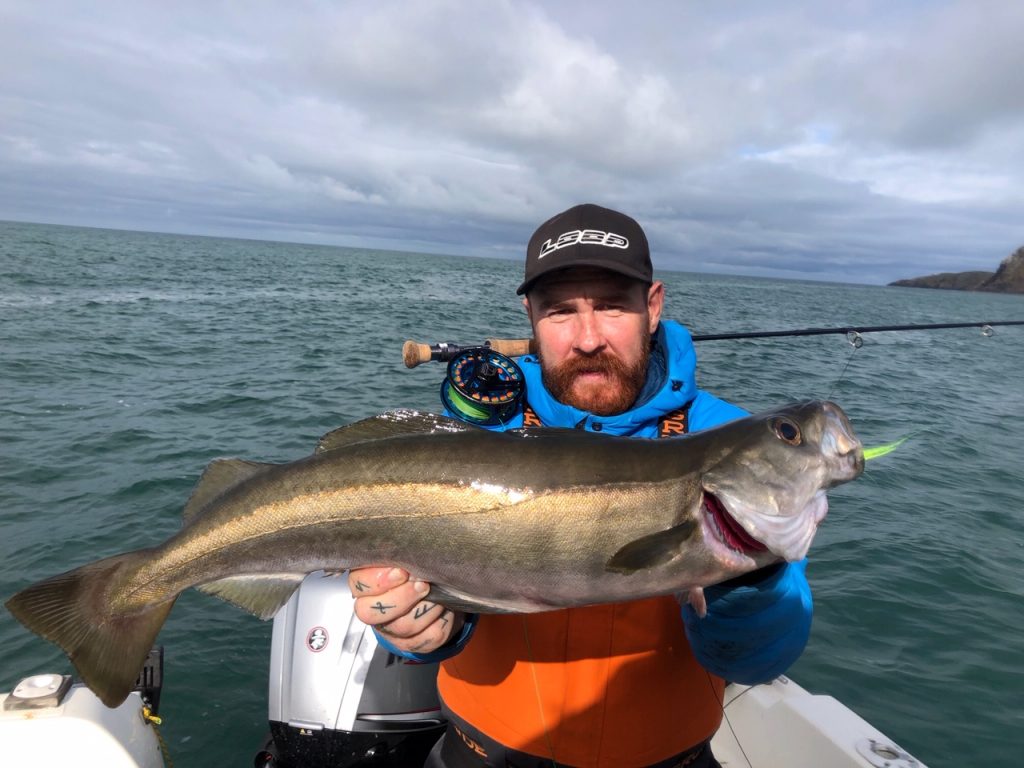 lure fishing for pollack