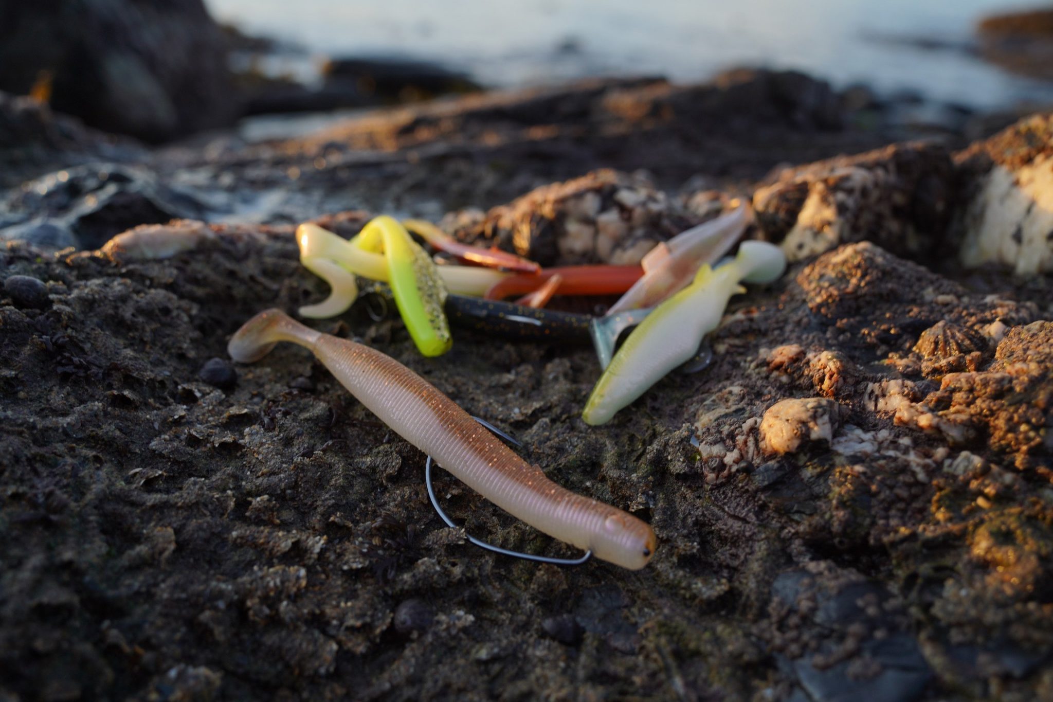 The Only Lures You Need | Best Fishing Lures & Spinners UK
