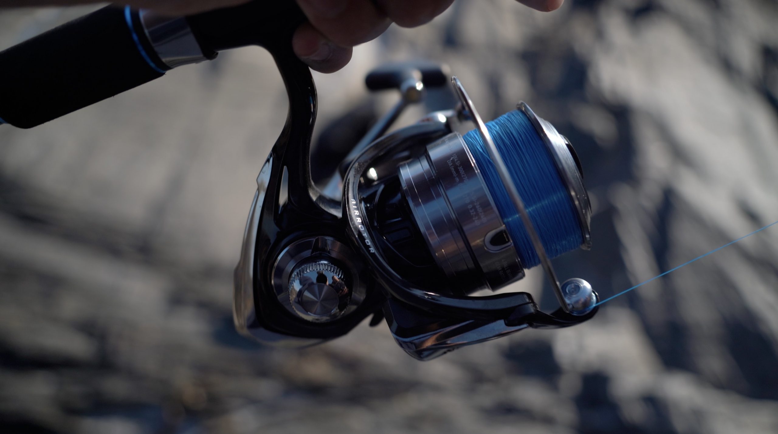 Daiwa Ninja Review