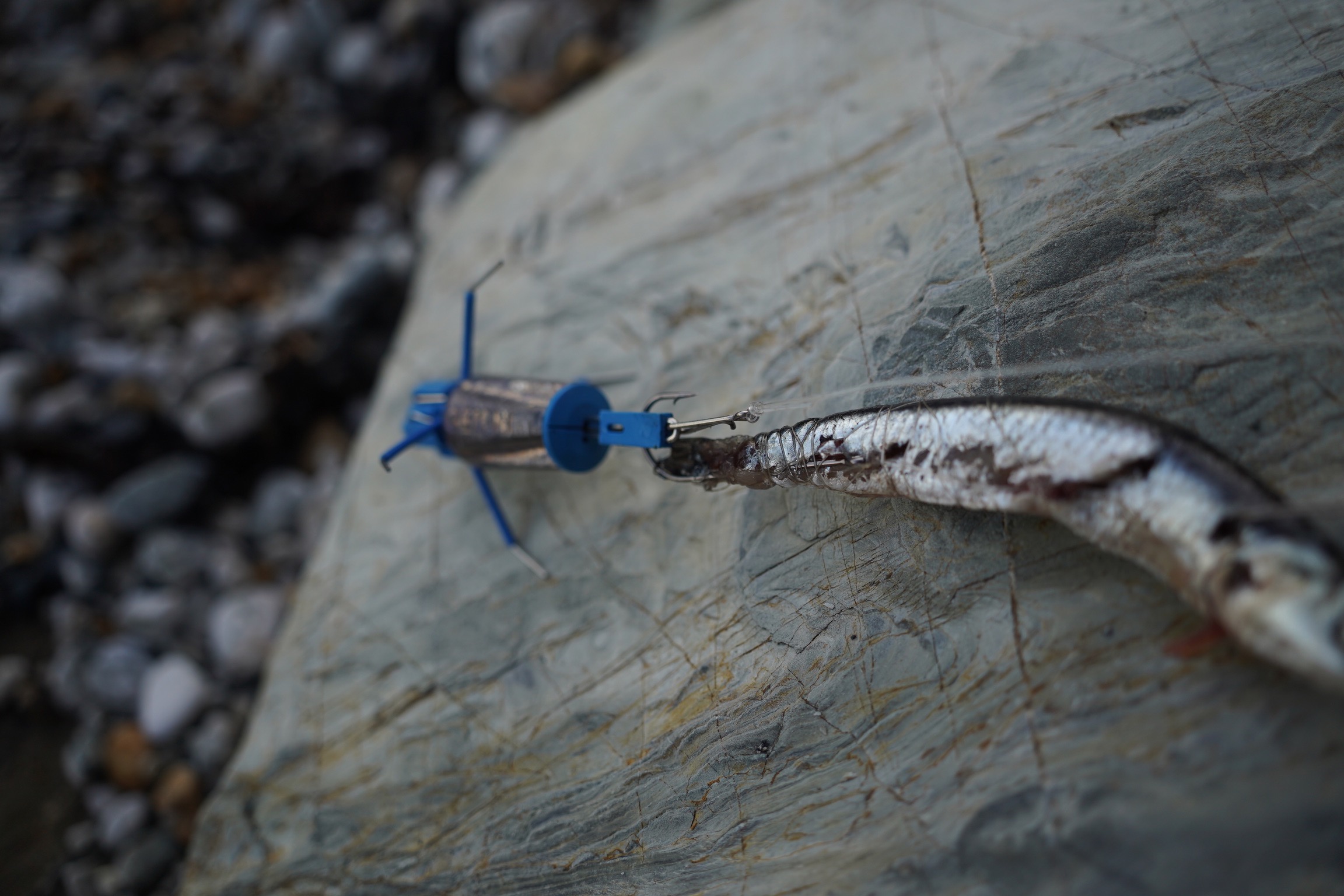 hook holder with big huss bait