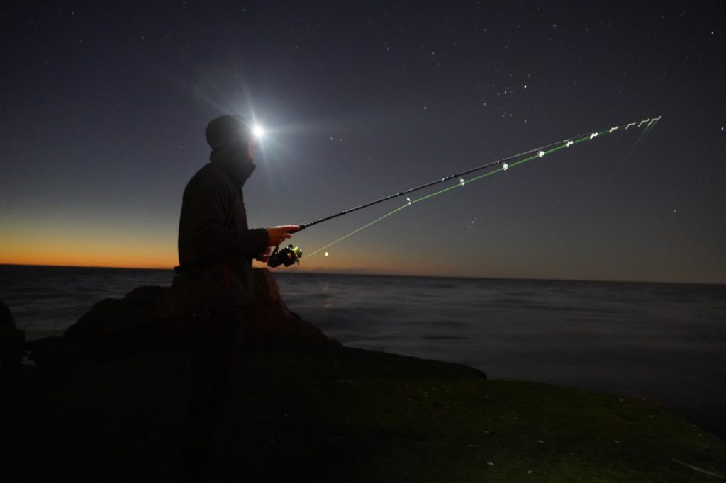 squid fishing UK 
