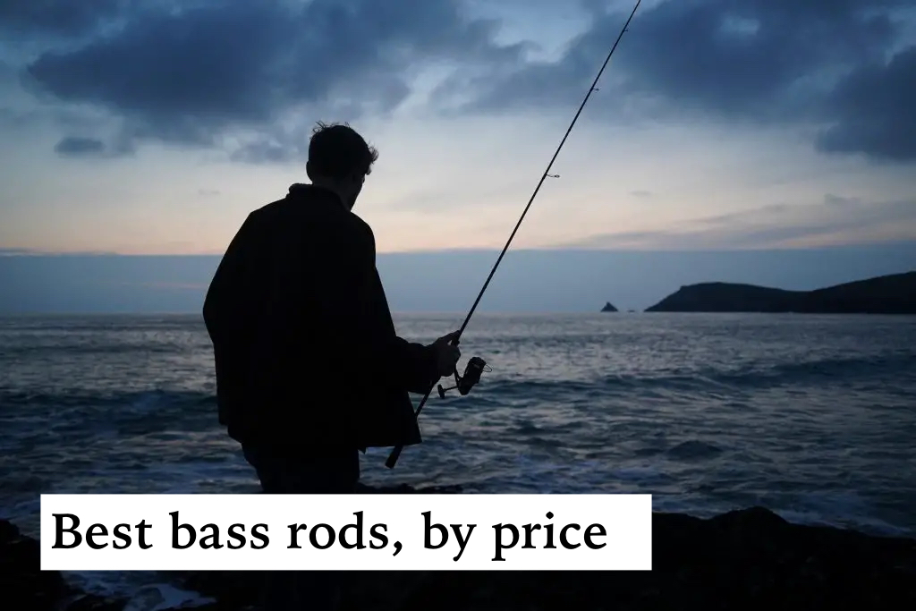 best bass rods