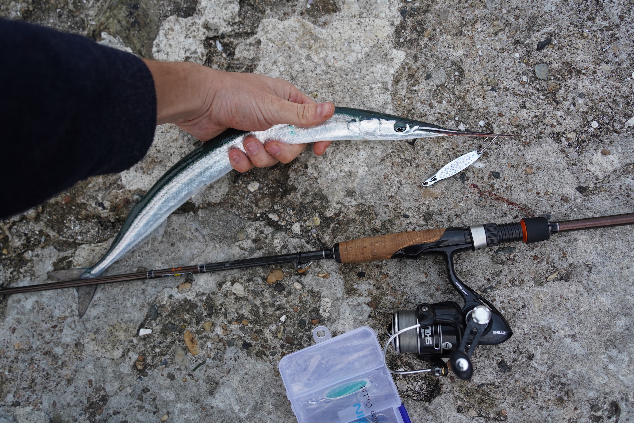 LRF rod for mackerel fishing