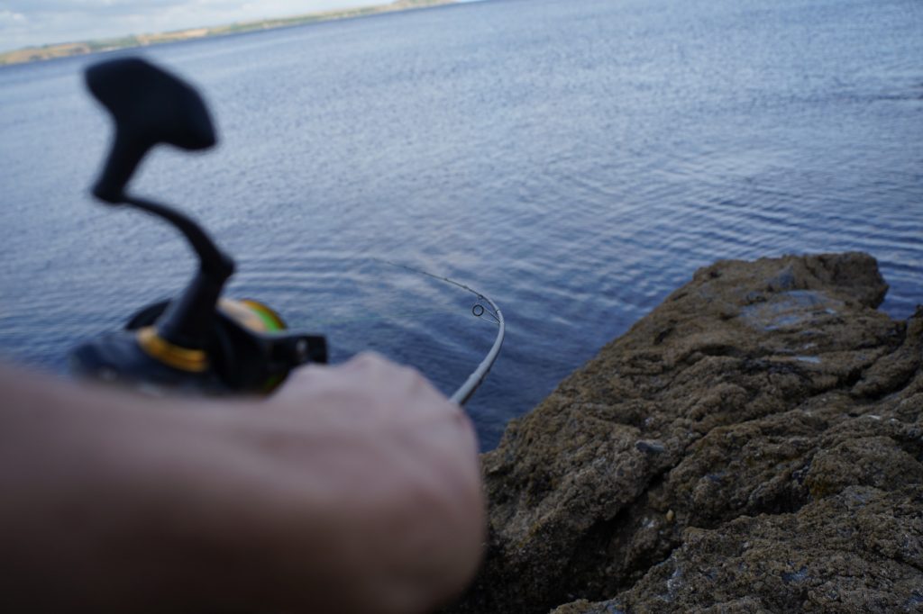 Fishing Line In Rocks Rock Fishing with lures in the UK