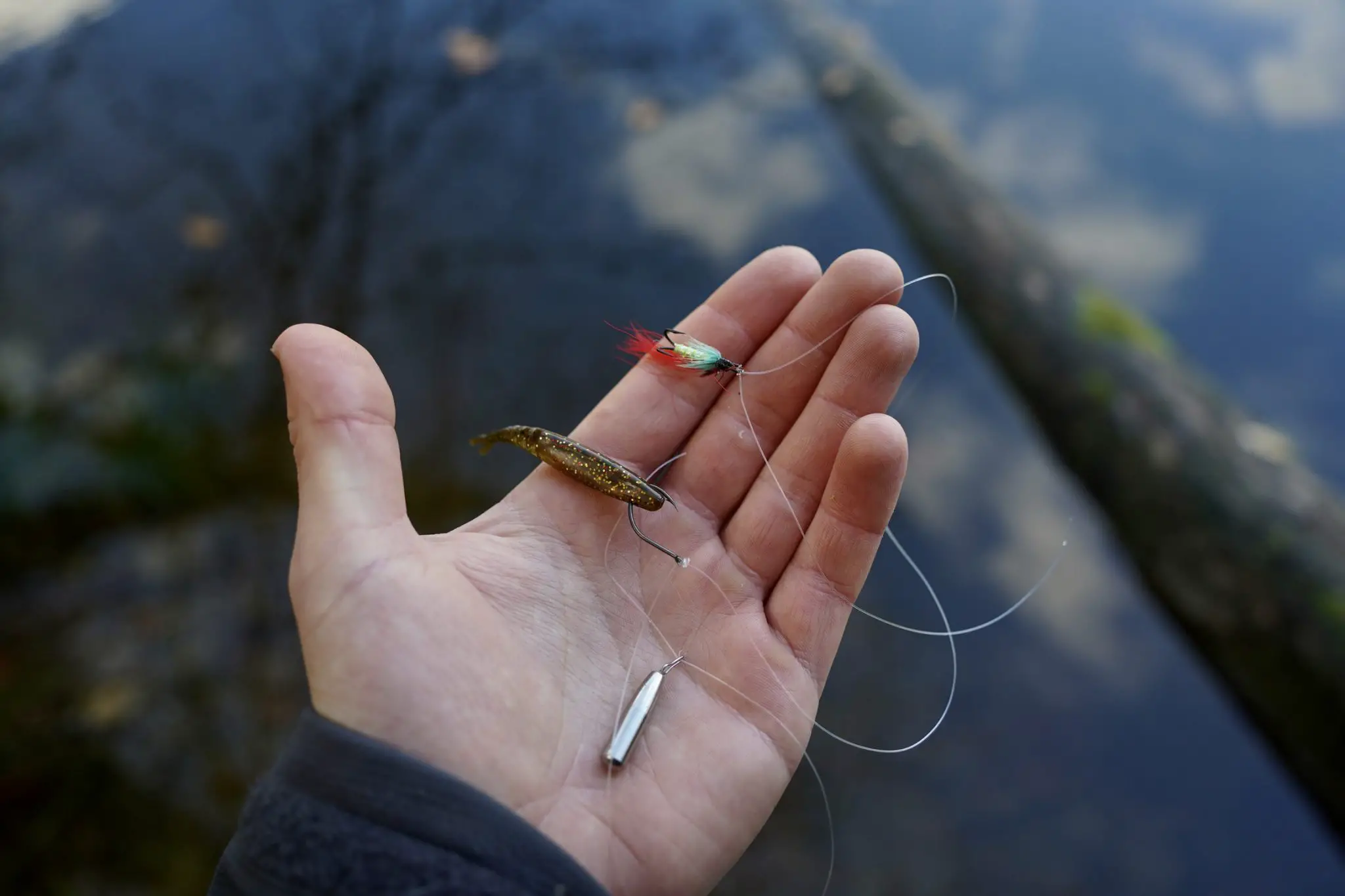 drop shot rig for perch uk
