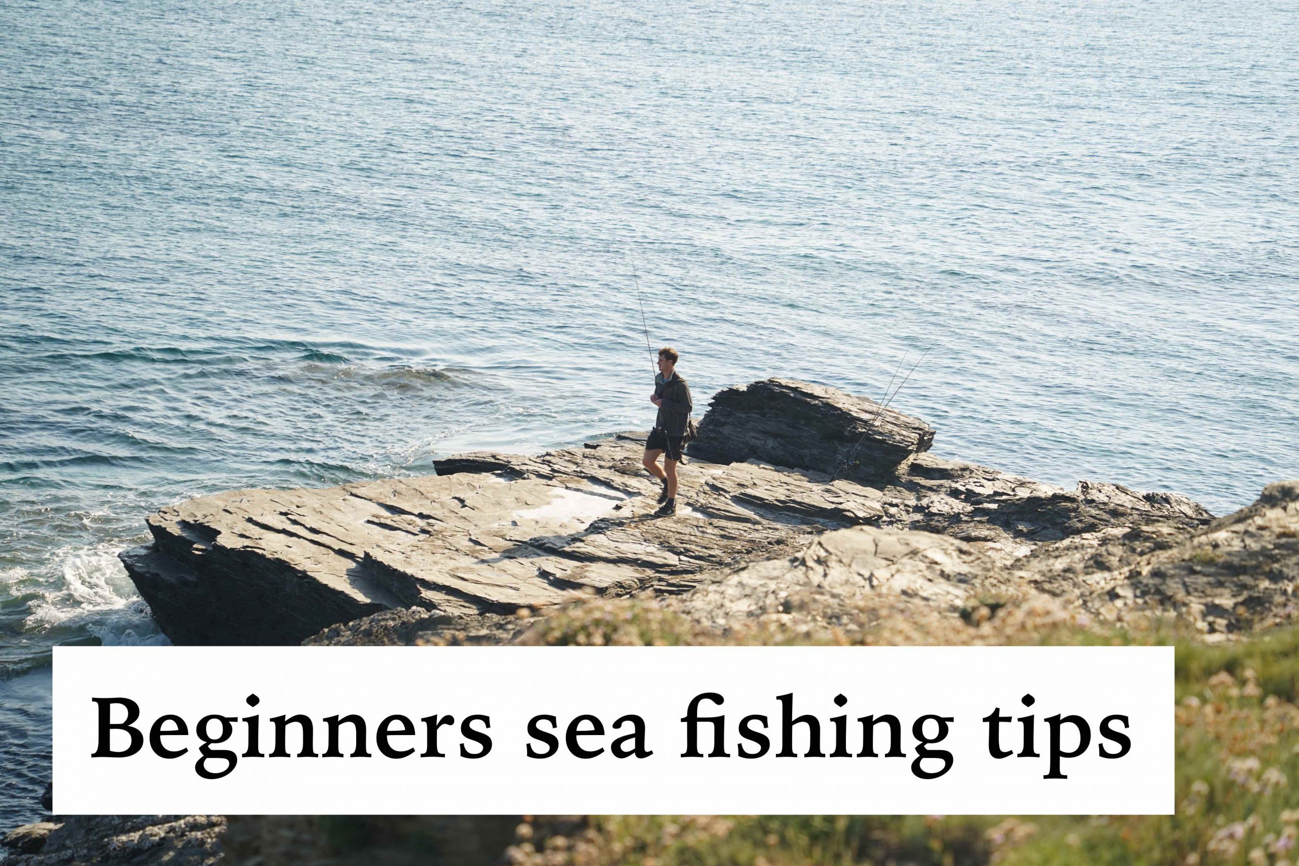 beginners sea fishing tips
