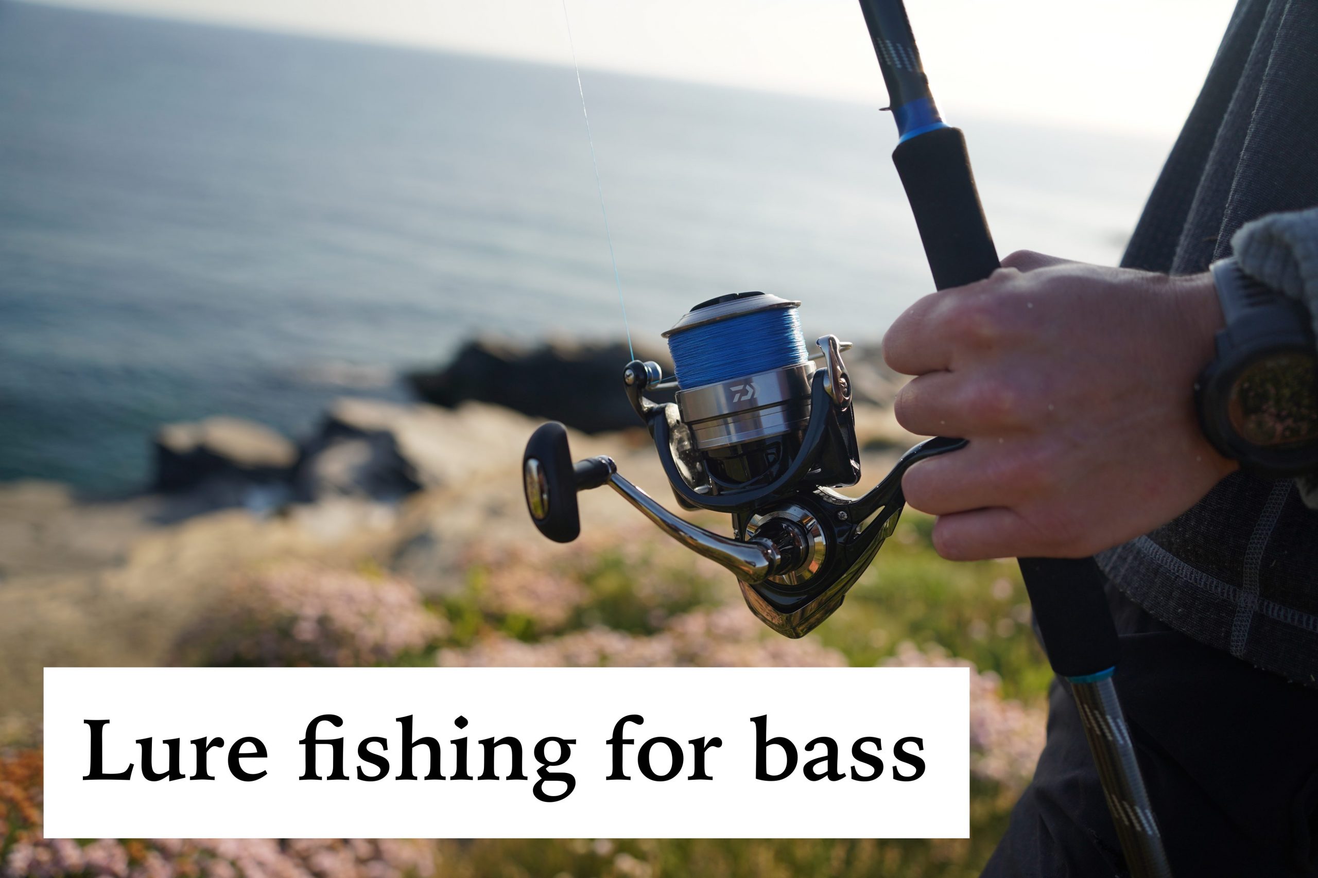 lure fishing for bass