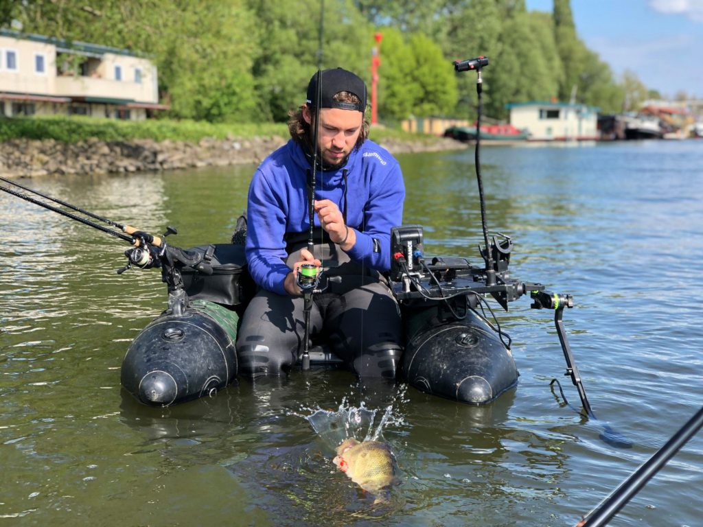 perch fishing 