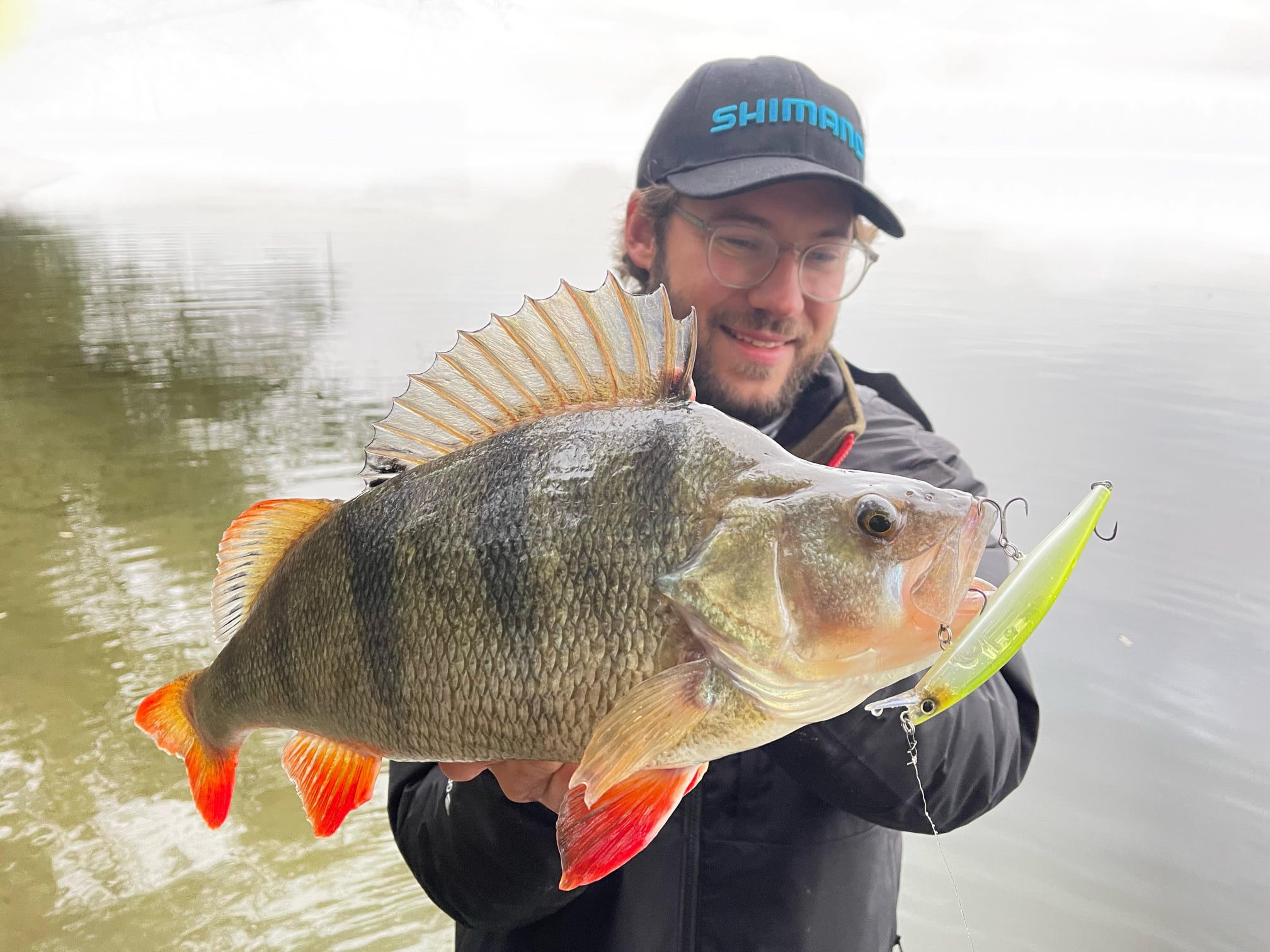 Lure fishing for perch UK 24 Perch Fishing Tips