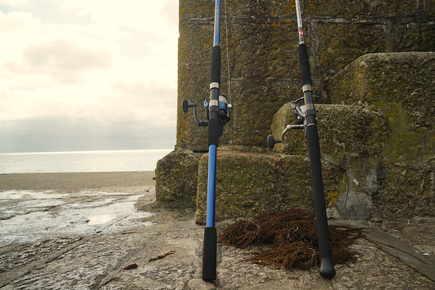 Mackerel Fishing Guide Spinning, Feathering & Float Fishing