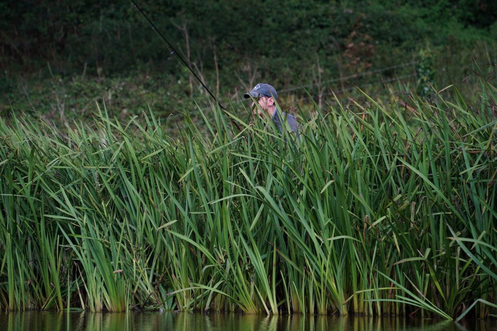 perch fishing