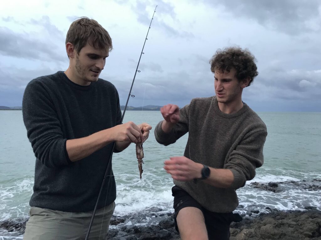 sea fishing baits