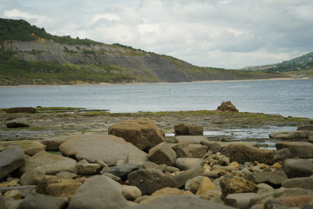 lyme regis rocks