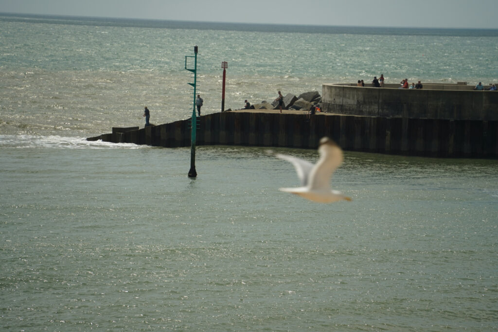 west bay fishing