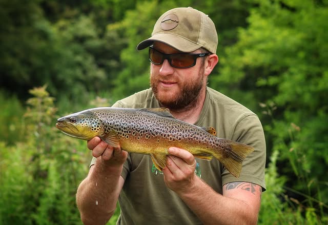 brown trout on the chalk streams