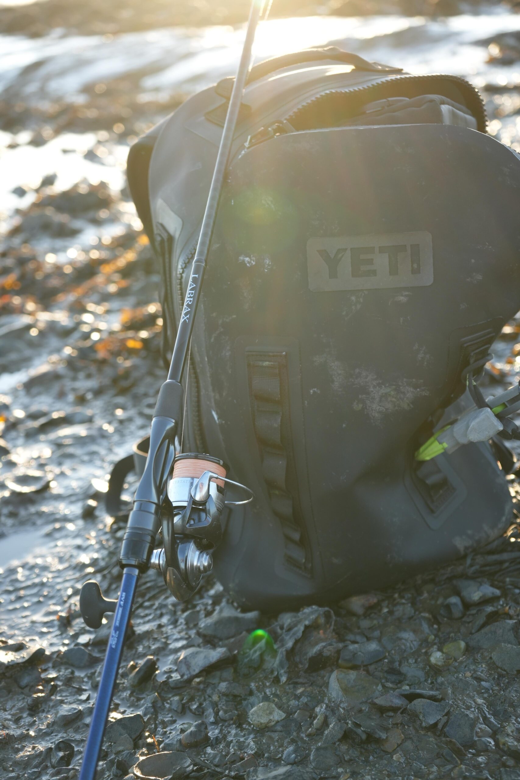 Expert Insights on Estuary Bass Fishing with Marcus from Chichester